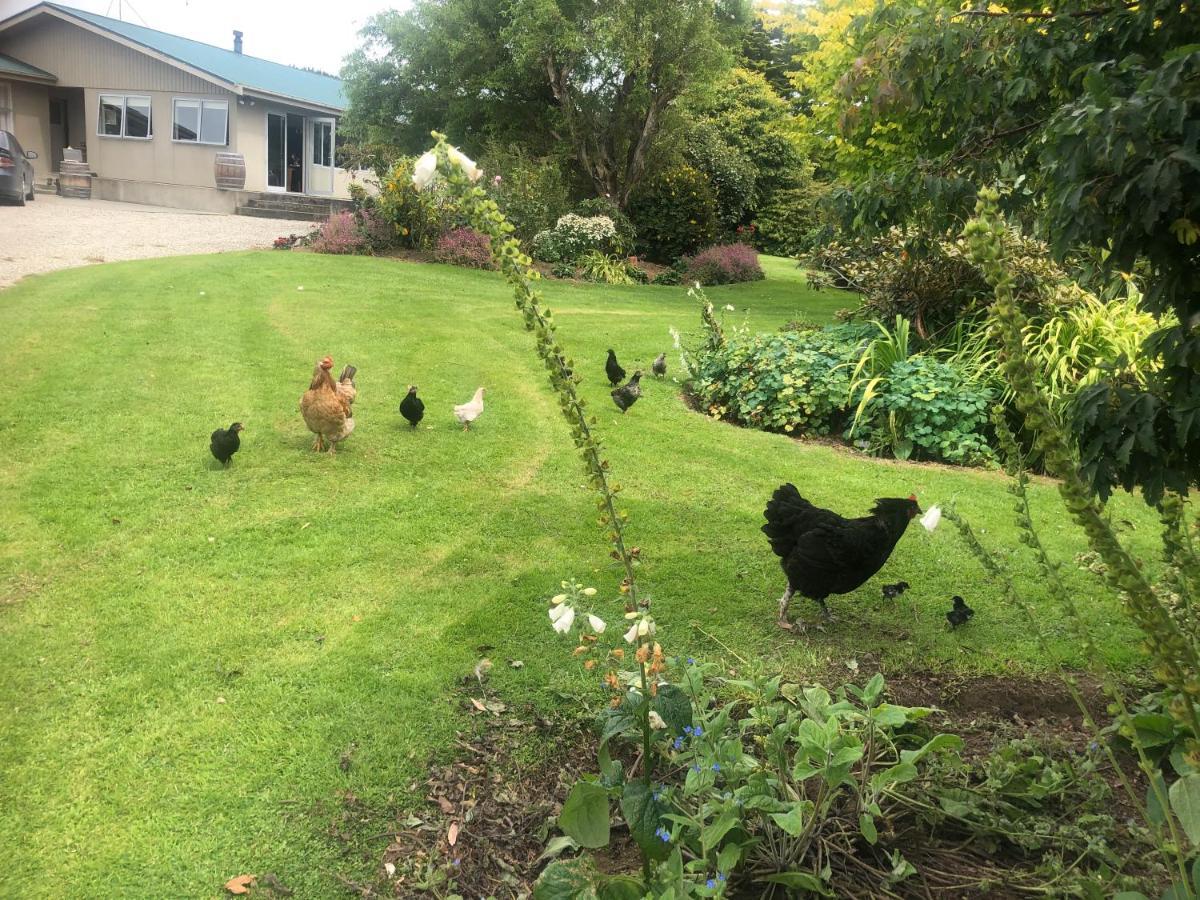 אינברקארגיל Southland Organic Farmstay מראה חיצוני תמונה